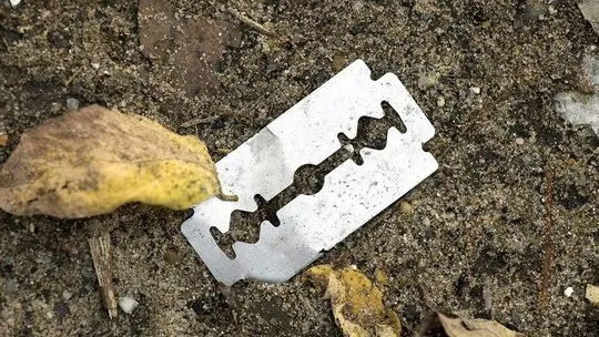 razor blade disposed in the wild