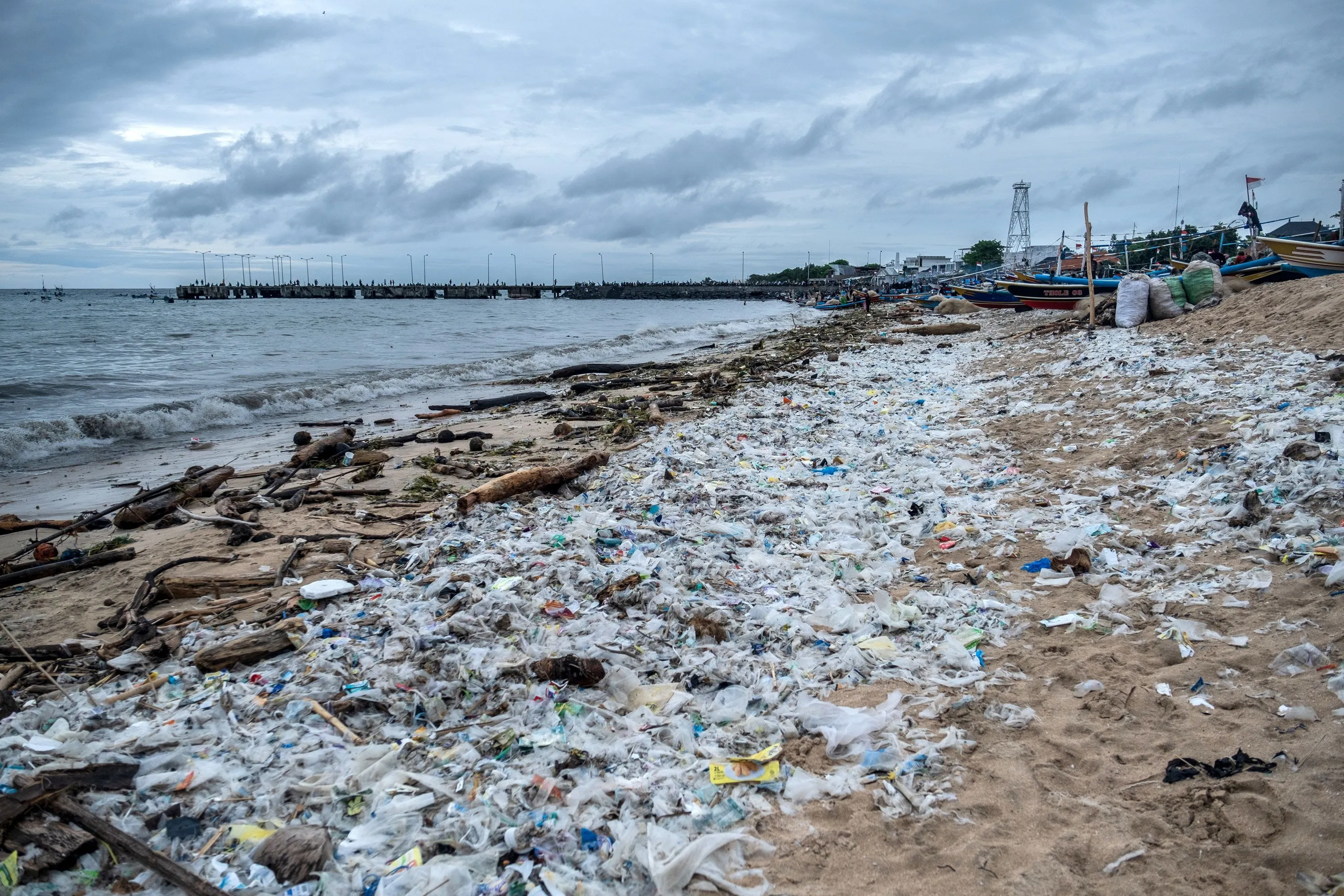 pollution caused by plastics